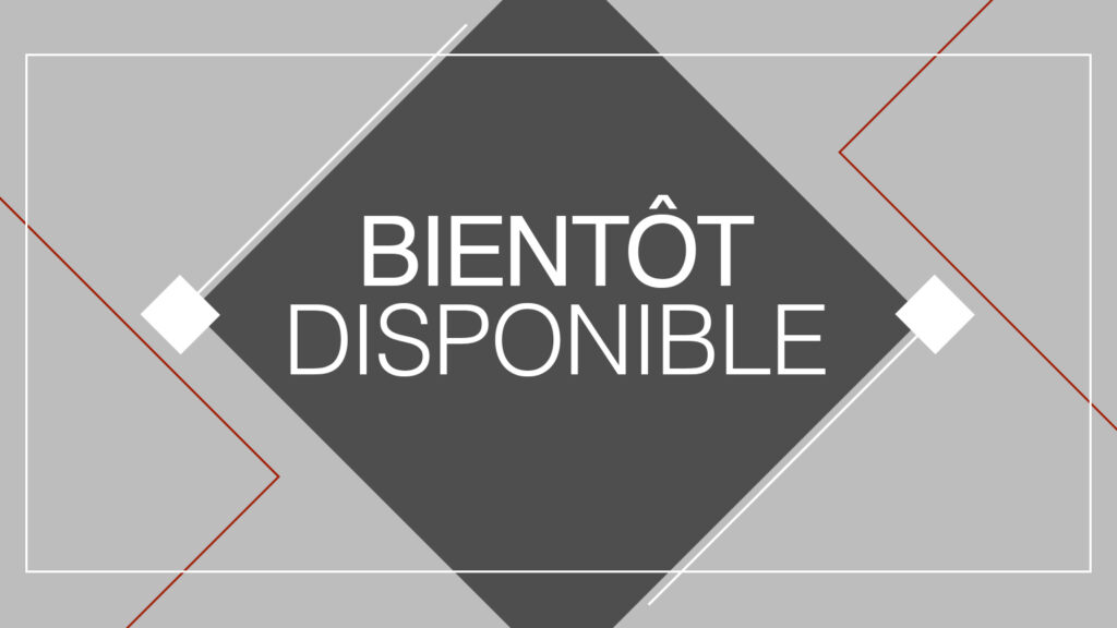 Formation bientôt disponible